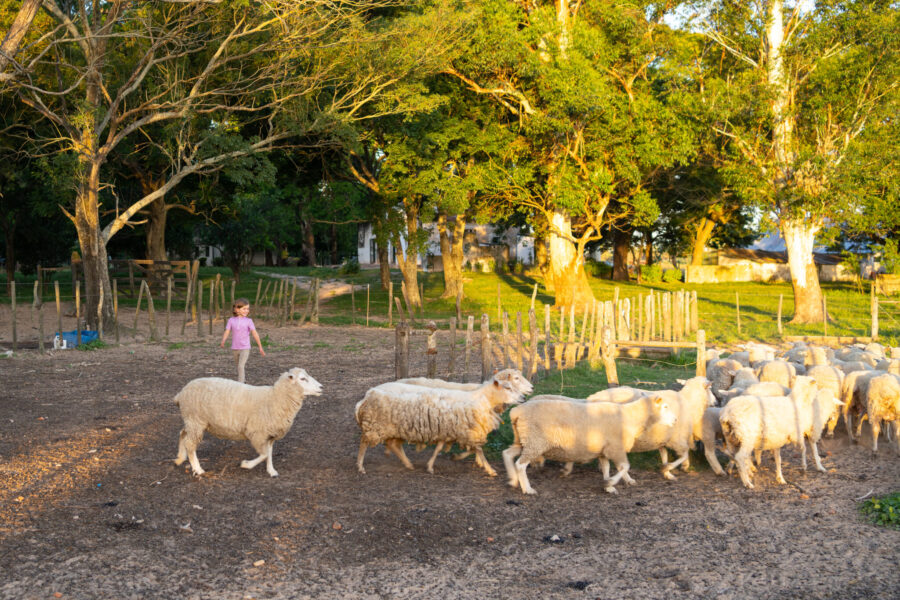 Corrientes, Argentina - Globetrotting horse riding holidays