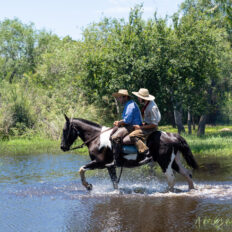 Corrientes, Argentina - Globetrotting horse riding holidays