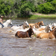 Corrientes, Argentina - Globetrotting horse riding holidays