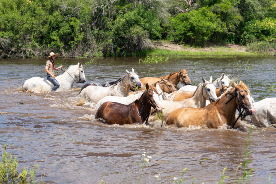 Corrientes, Argentina - Globetrotting horse riding holidays