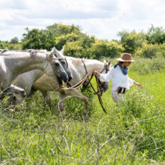 Corrientes, Argentina - Globetrotting horse riding holidays