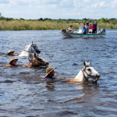 Corrientes, Argentina - Globetrotting horse riding holidays