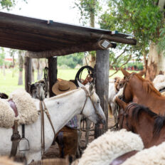Corrientes, Argentina - Globetrotting horse riding holidays
