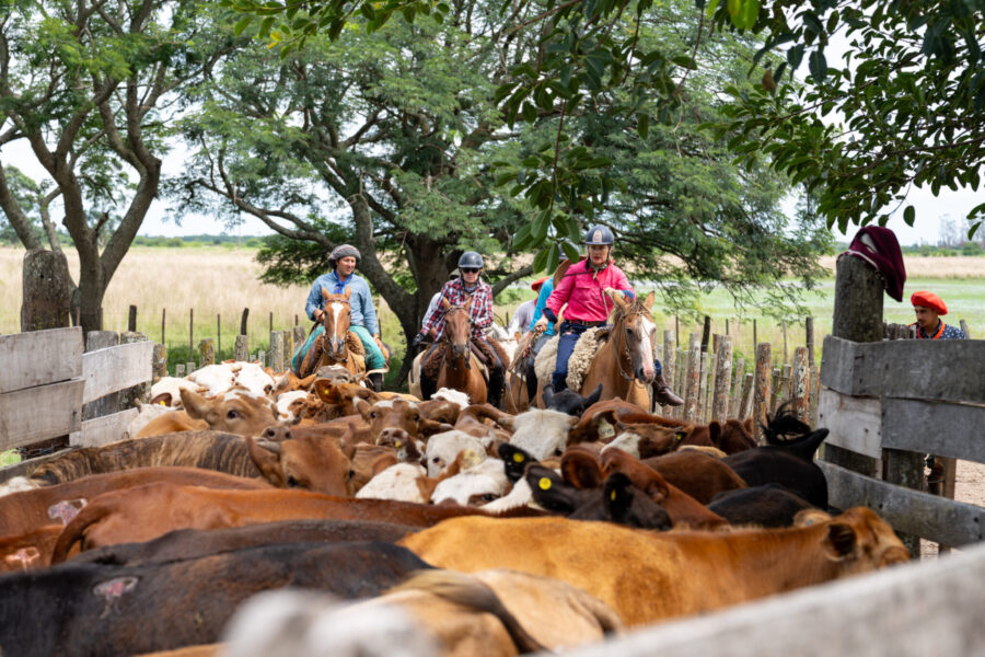 Corrientes, Argentina - Globetrotting horse riding holidays