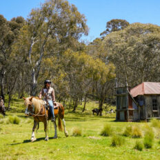 The Kosciuszko Ride, New South Wales, Australia - Globetrotting horse riding holidays