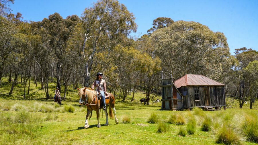 The Kosciuszko Ride, New South Wales, Australia - Globetrotting horse riding holidays