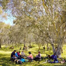 The Kosciuszko Ride, New South Wales, Australia - Globetrotting horse riding holidays