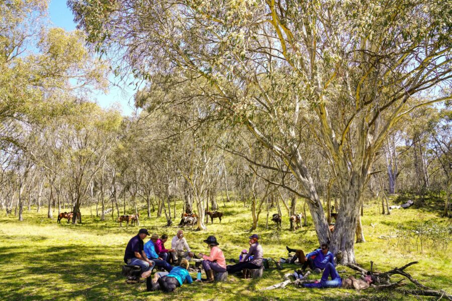 The Kosciuszko Ride, New South Wales, Australia - Globetrotting horse riding holidays