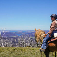 The Kosciuszko Ride, New South Wales, Australia - Globetrotting horse riding holidays