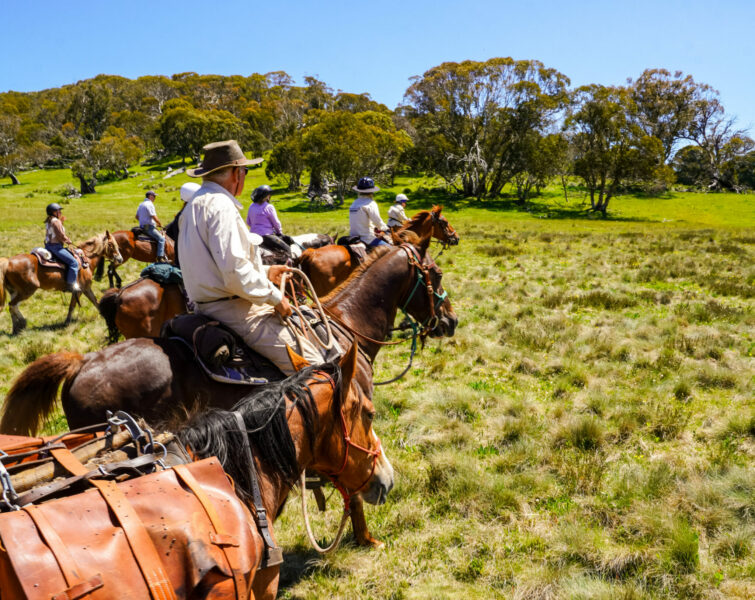 The Kosciuszko Ride, New South Wales, Australia - Globetrotting horse riding holidays
