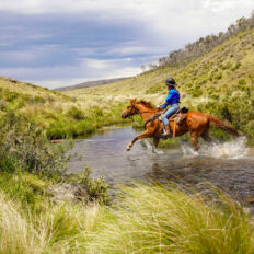 The Kosciuszko Ride, New South Wales, Australia - Globetrotting horse riding holidays