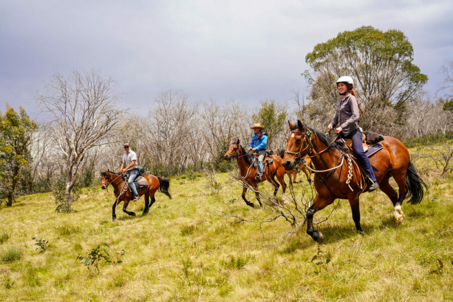 The Kosciuszko Ride, New South Wales, Australia - Globetrotting horse riding holidays