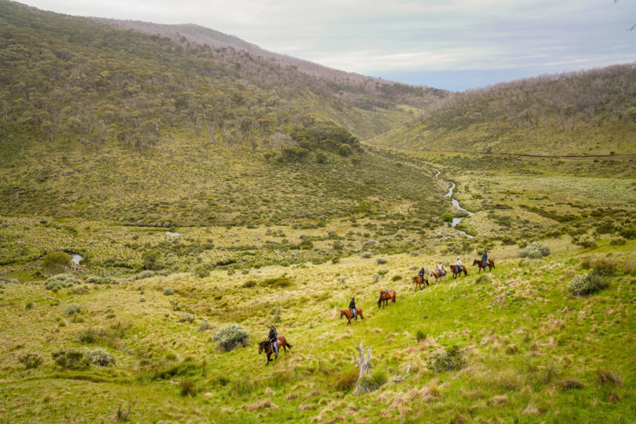The Kosciuszko Ride, New South Wales, Australia - Globetrotting horse riding holidays