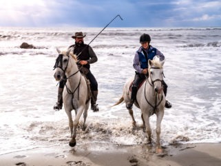 cowboy with Camargue horse on beach on France riding holiday by globetrotting