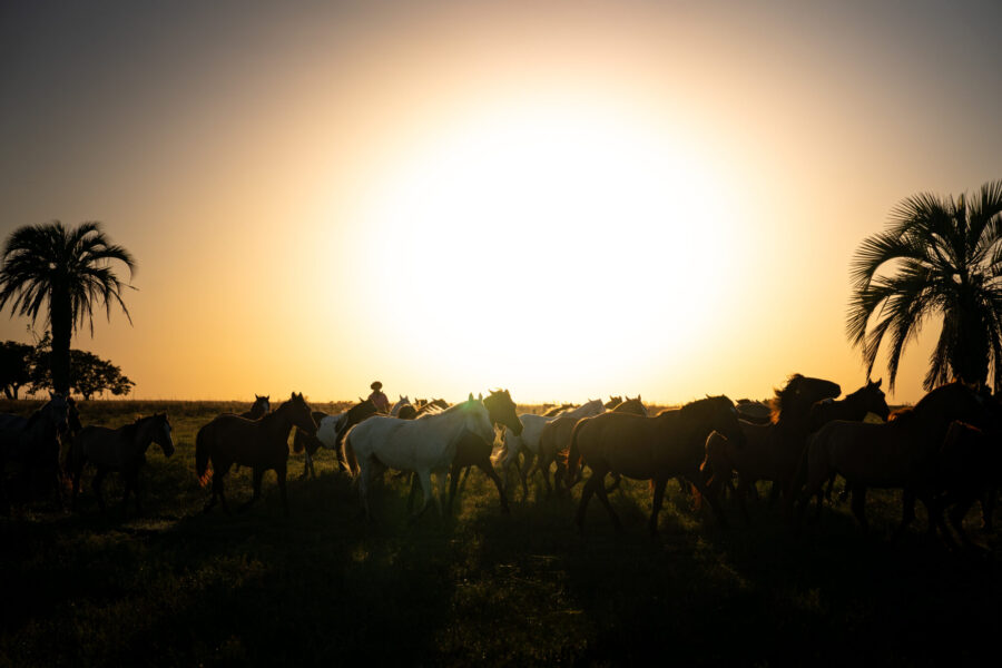 Corrientes, Argentina - Globetrotting horse riding holidays