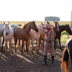 Corrientes, Argentina - Globetrotting horse riding holidays
