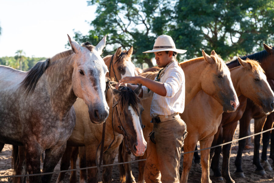 Corrientes, Argentina - Globetrotting horse riding holidays