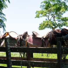 Corrientes, Argentina - Globetrotting horse riding holidays