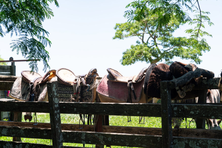 Corrientes, Argentina - Globetrotting horse riding holidays