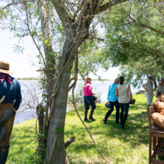 Corrientes, Argentina - Globetrotting horse riding holidays