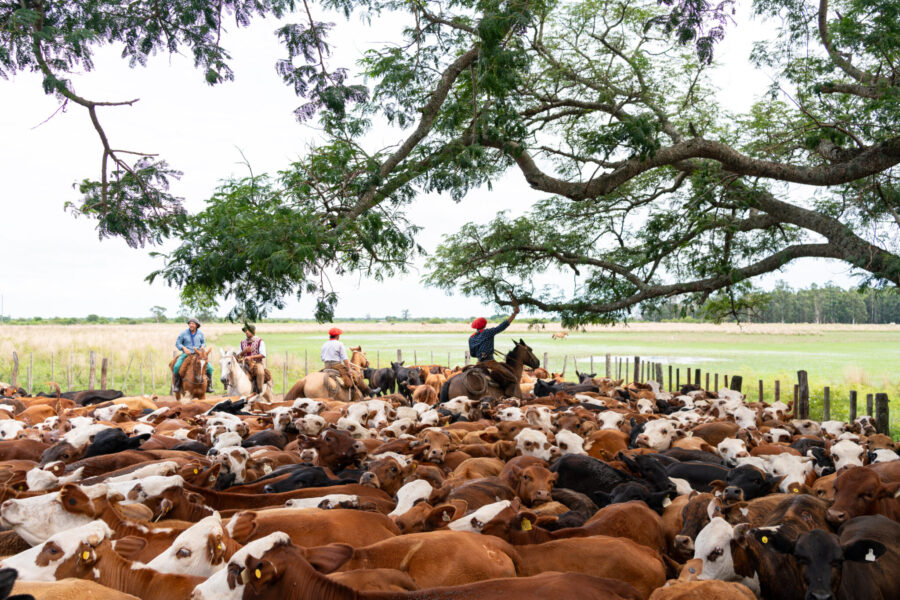 Corrientes, Argentina - Globetrotting horse riding holidays