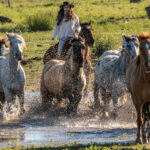 Estancia ride in Corrientes, Argentina - Globetrotting horse riding holidays