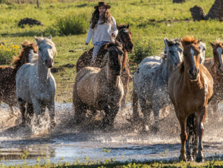Estancia ride in Corrientes, Argentina - Globetrotting horse riding holidays