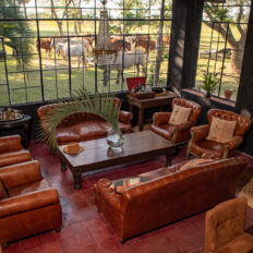 Estancia ride in Corrientes, Argentina - Globetrotting horse riding holidays