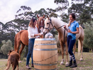 The Shoalhaven Ride, New South Wales, Australia - Globetrotting horse riding holidays