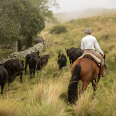 Estancia ride in Sierras Chicas, Argentina - Globetrotting horse riding holidays