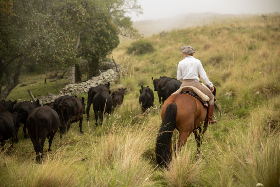 Estancia ride in Sierras Chicas, Argentina - Globetrotting horse riding holidays