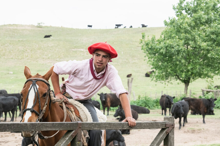 Estancia ride in Sierras Chicas, Argentina - Globetrotting horse riding holidays