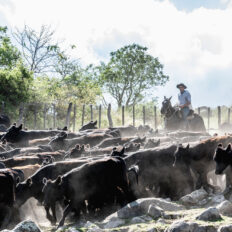 Estancia ride in Sierras Chicas, Argentina - Globetrotting horse riding holidays