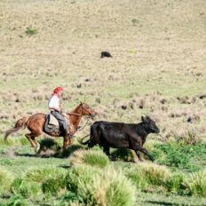 Estancia ride in Sierras Chicas, Argentina - Globetrotting horse riding holidays