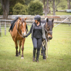 Cradle to Coast Ride, Tasmania - Globetrotting horse riding holidays