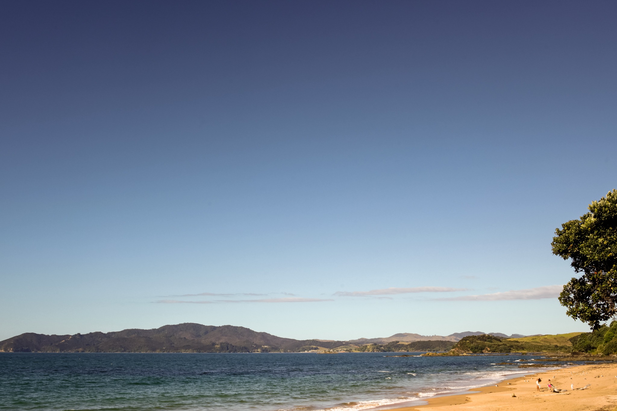 horse riding holiday New Zealand North Island, Twin Coast Adventure with Dromgool Horsemanship