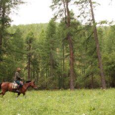 Khovsgol & Arhangay Rides, Mongolia - Globetrotting horse riding holidays