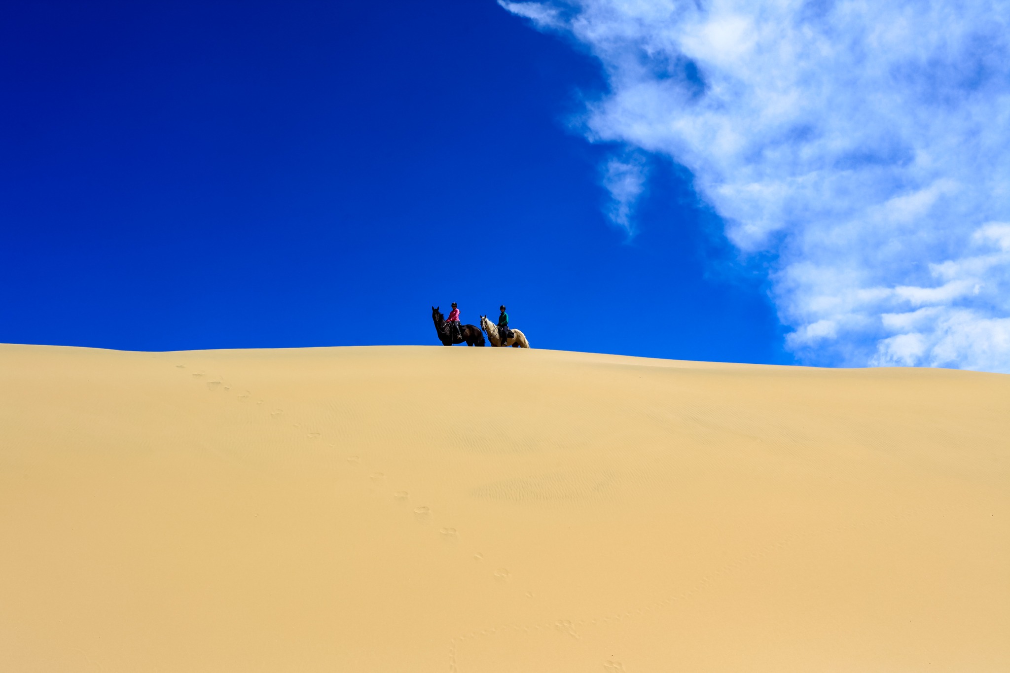 horse riding holiday New Zealand North Island, Twin Coast Adventure with Dromgool Horsemanship