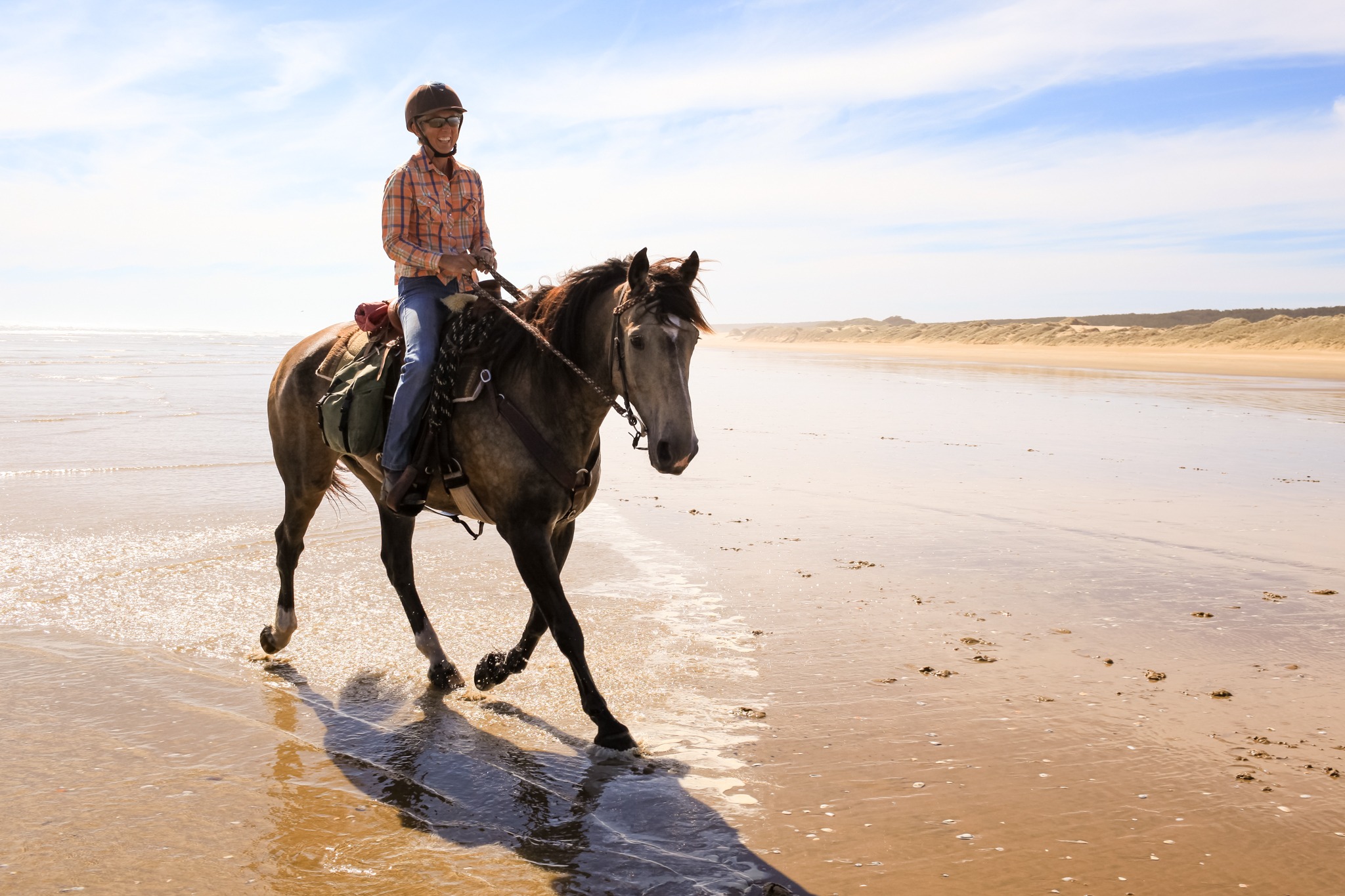 horse riding holiday New Zealand North Island, Twin Coast Adventure with Dromgool Horsemanship