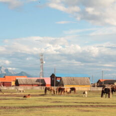 Khovsgol & Arhangay Rides, Mongolia - Globetrotting horse riding holidays