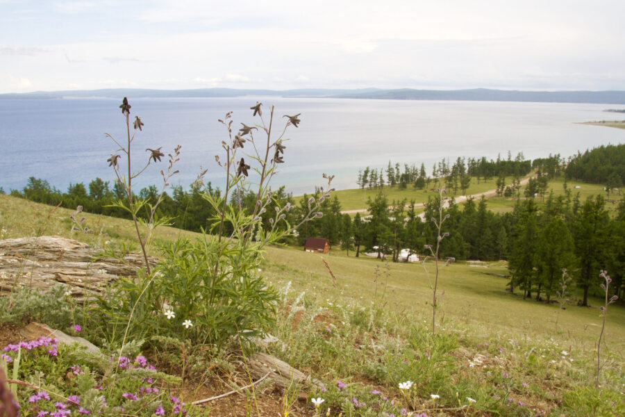 Khovsgol & Arhangay Rides, Mongolia - Globetrotting horse riding holidays