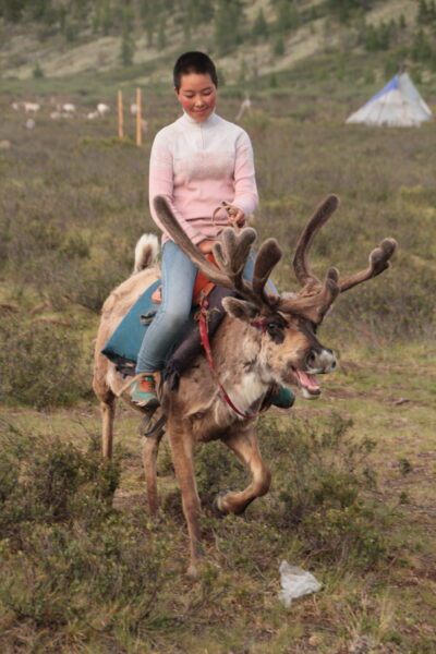 Khovsgol & Arhangay Rides, Mongolia - Globetrotting horse riding holidays