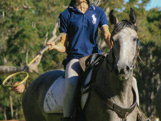 Horse Breed: Australian Stock Horse - image by Globetrotting horse riding holidays, taken on The Margaret River Ride, Western Australia.
