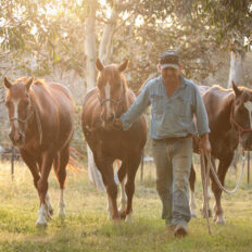 The Kosciuszko Ride, New South Wales, Australia - Globetrotting horse riding holidays