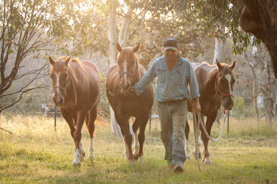 The Kosciuszko Ride, New South Wales, Australia - Globetrotting horse riding holidays