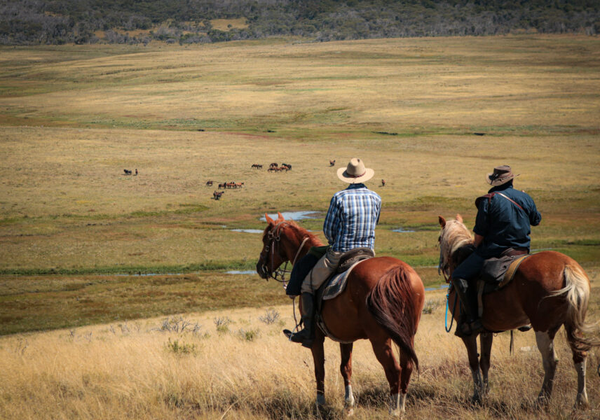 The Kosciuszko Ride, New South Wales, Australia - Globetrotting horse riding holidays