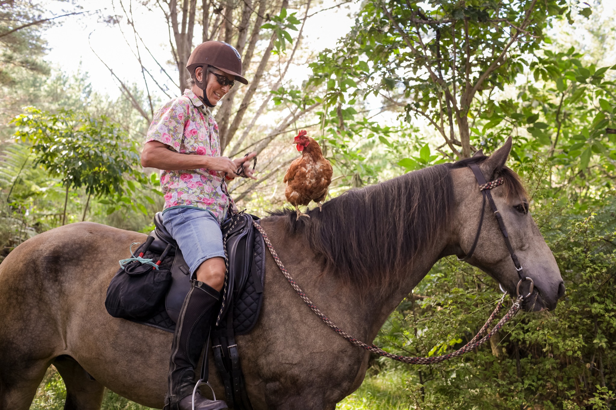 horse riding holiday New Zealand North Island, Twin Coast Adventure with Dromgool Horsemanship