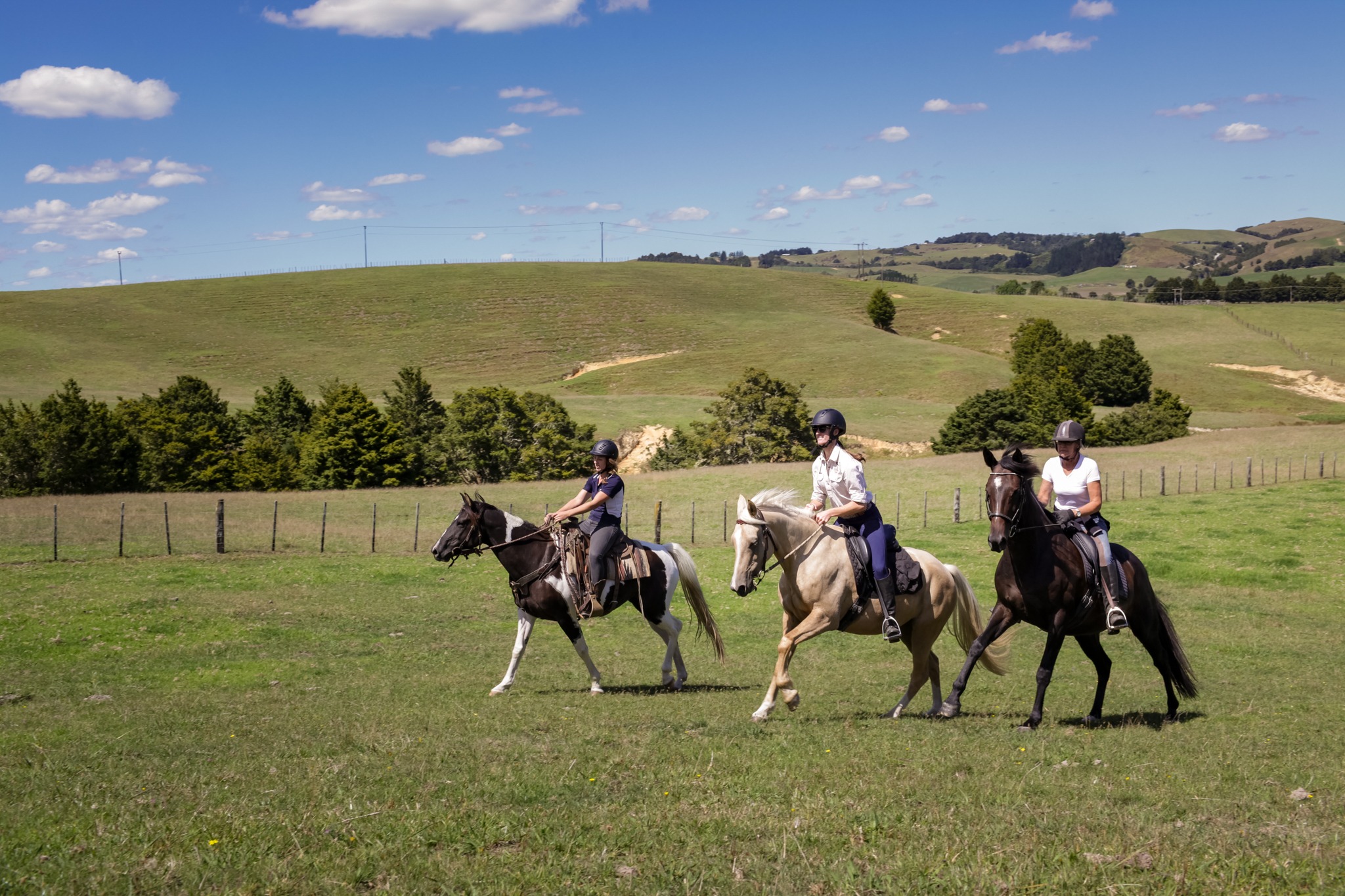 horse riding holiday New Zealand North Island, Twin Coast Adventure with Dromgool Horsemanship