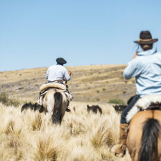 Estancia ride in Sierras Chicas, Argentina - Globetrotting horse riding holidays