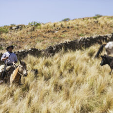 Estancia ride in Sierras Chicas, Argentina - Globetrotting horse riding holidays